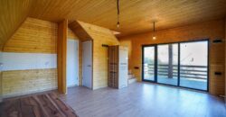 ახატანი