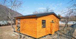 არაგვისპირი