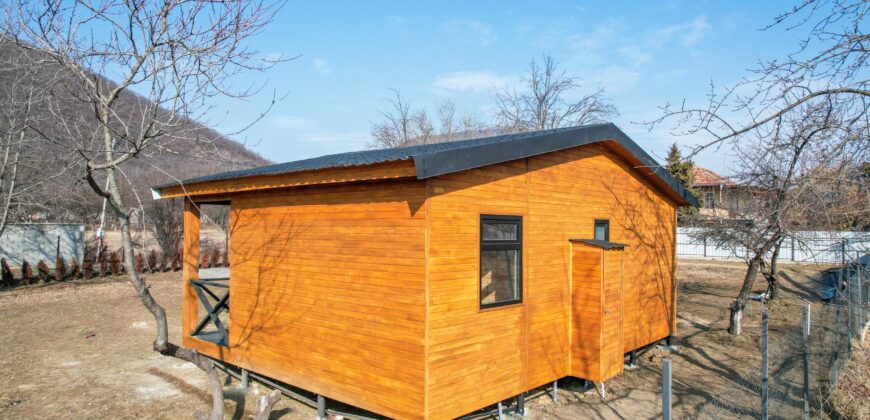 არაგვისპირი