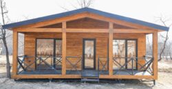 არაგვისპირი