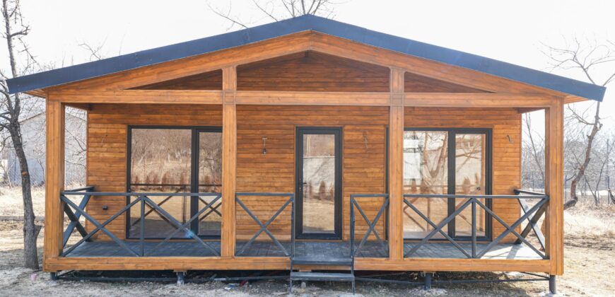 არაგვისპირი