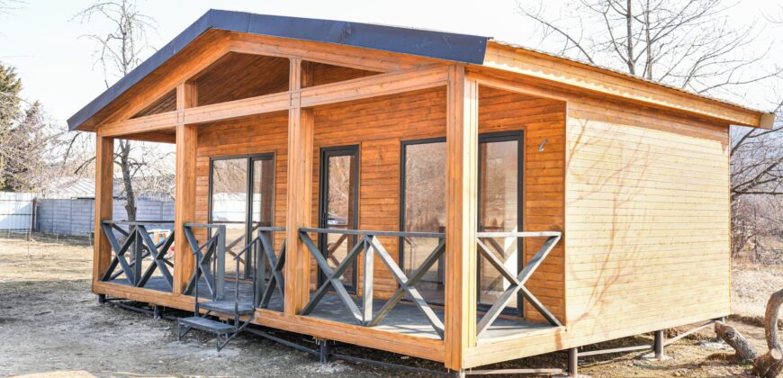 არაგვისპირი