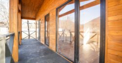 არაგვისპირი