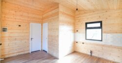 არაგვისპირი