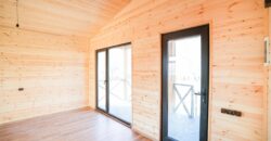 არაგვისპირი