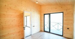 არაგვისპირი