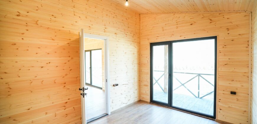 არაგვისპირი