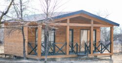 არაგვისპირი