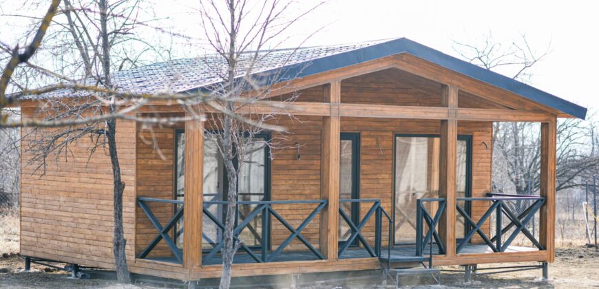 არაგვისპირი