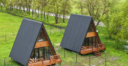 ღულელები